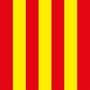 Rood / Gele vlag 80x80CM